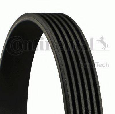 CONTITECH 6PK1600 Полікліновий ремінь