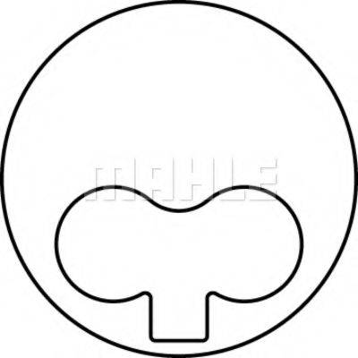 PERFECT CIRCLE 59568480 Поршень